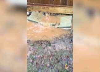 Addressing Homeowner Concerns: Flooding in Enterprise news-25092024-011551