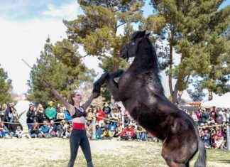 BHP Events Open House: Fun, Wellness, and Spectacular Performances for All news-25092024-023318