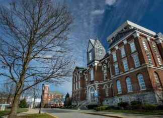 University of Kentucky Addresses Sexual Assault Claims: Response and Actions Taken news-25092024-210133