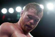 Canelo Alvarez Issues Warning to McGregor Ahead of Berlanga Bout news-26092024-022800