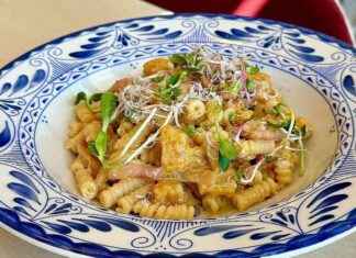 Bottiglia Celebrates National Pasta Month with Fall Flavors news-27092024-100556