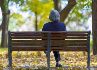 The Rise of the Gray Revolution in America: Understanding the Shift news-11102024-230020