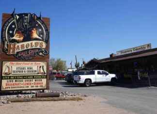 Should Tipped Workers Have Lower Minimum Wage? 2 States to Decide news-22102024-014739