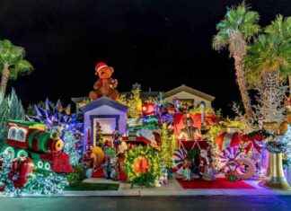 From Christmas Light Contest Winner to Successful Business Owner: How One Person Turned Talent into Profit from-christmas-light-contest-winner-to-successful-business-owner-how-one-person-turned-talent-into-profit