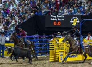 Rodeo Heeler Partnering with Veteran Header for Success rodeo-heeler-partnering-with-veteran-header-for-success