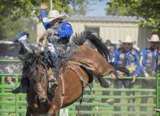 Youngest Wright Thrives in Family Rodeo Business Despite Pandemic Challenges youngest-wright-thrives-in-family-rodeo-business-despite-pandemic-challenges