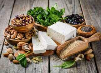 Plant-Based Protein Sources: Are They Enough for You? plant-based-protein-sources-are-they-enough-for-you