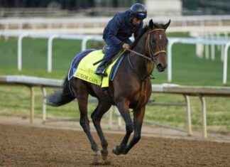 In-Depth Analysis of 151st Kentucky Derby Horses n-depth-analysis-of-151st-kentucky-derby-horses