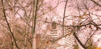 Play Playground Las Vegas: Discover The Ultimate Fun Destination Today