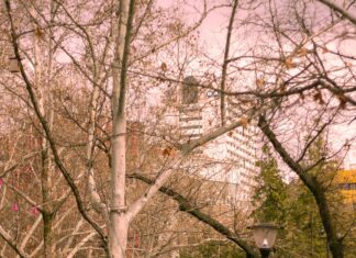 Play Playground Las Vegas: Discover The Ultimate Fun Destination Today