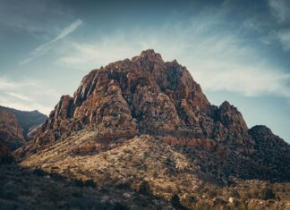 Blueberry Hill Las Vegas: Discover The Hidden Gem You Can’t Miss