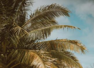 Hells Kitchen Las Vegas: Discover The Ultimate Culinary Adventure