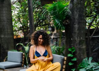 Pet Friendly Hotels Las Vegas: Discover Top Stays For Your Pets