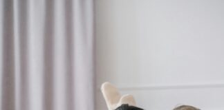 Social Security Office Las Vegas: How To Get Fast, Reliable Help