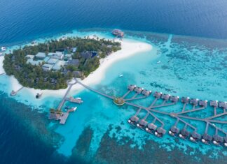 Ocean Prime Las Vegas: Why This Upscale Steakhouse Is Unforgettable