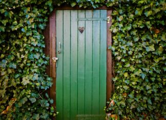 Green Door Las Vegas: Unveiling The Hidden Gem You Must Visit