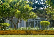 Las Vegas Natural History Museum: Discover Fascinating Ancient Secrets