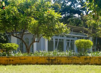 Las Vegas Natural History Museum: Discover Fascinating Ancient Secrets