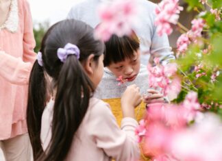 Children’s Activities In Las Vegas: Exciting Adventures Your Kids Will Love