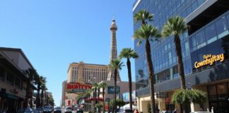 Las Vegas Community Comes Together to Revitalize Downtown Area The Las Vegas community unites to revitalize the downtown area.