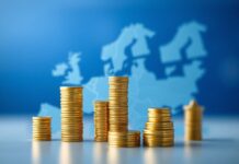 Understanding the Ripple Effects of EU Pension Developments on Global Economies Understanding the Ripple Effects of EU Pension Developments on Worldwide Economies