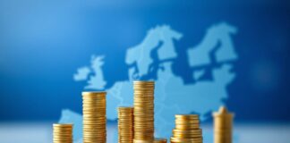 Understanding the Ripple Effects of EU Pension Developments on Global Economies Understanding the Ripple Effects of EU Pension Developments on Worldwide Economies